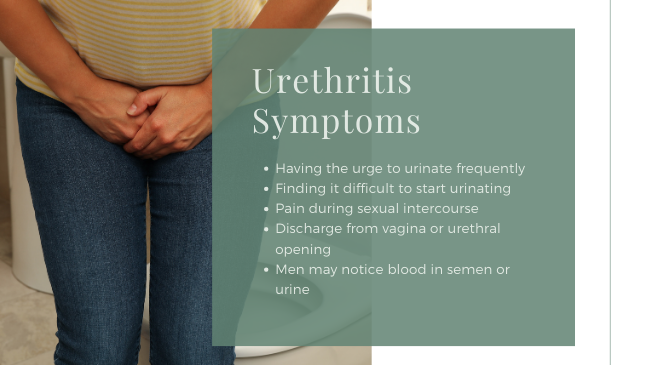 How To Get Rid Of A UTI Quickly Naturesupplies